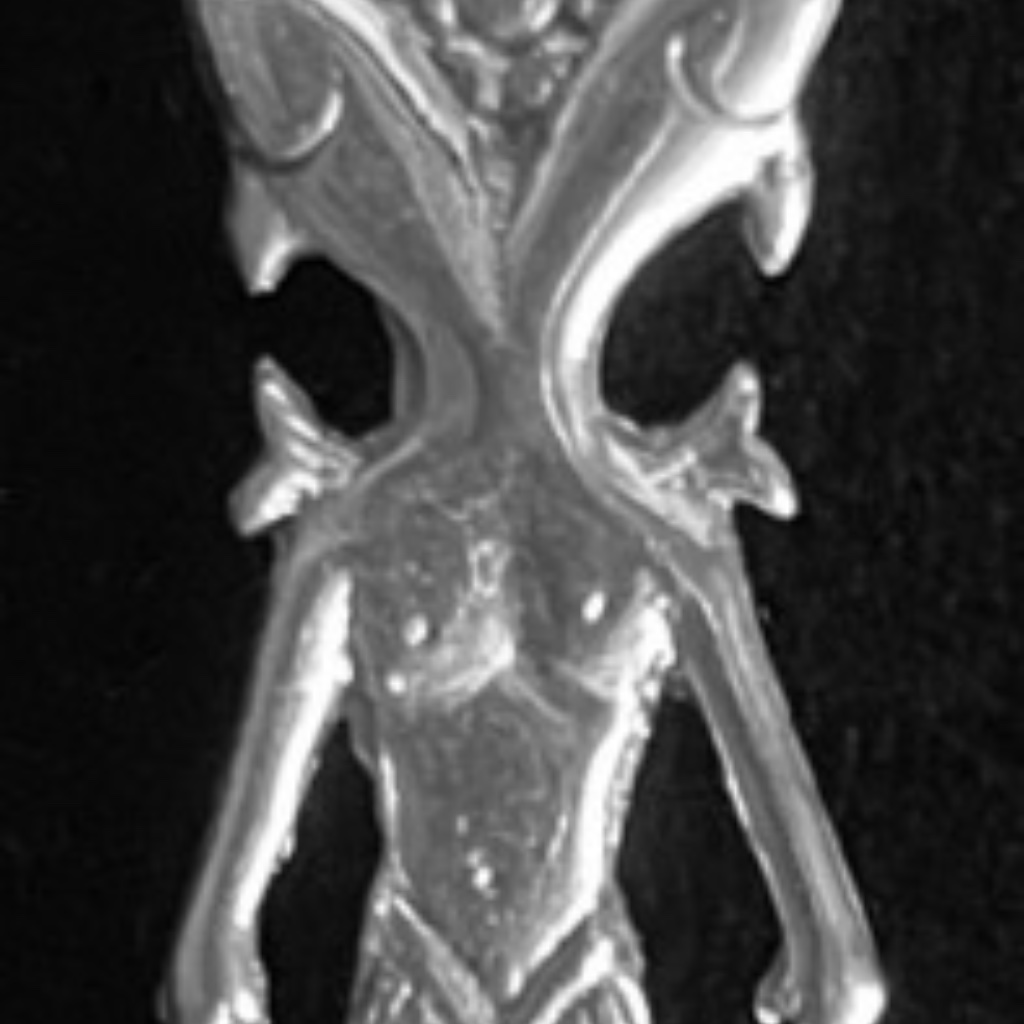 Pisces Charm For Necklace , A Zodiac Sign In Sterling Silver